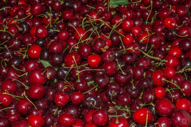 Вишня текстура