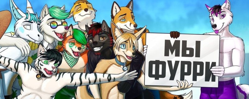 Фурри группа
