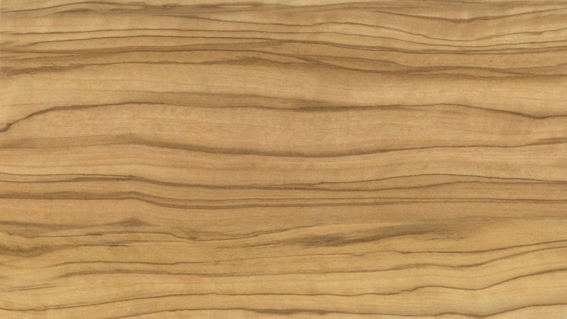 Microberlinia brazzavillensis дерево