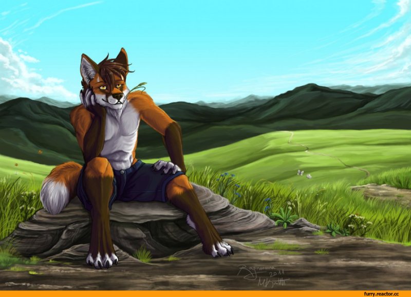 Фурри Фокс Волкер