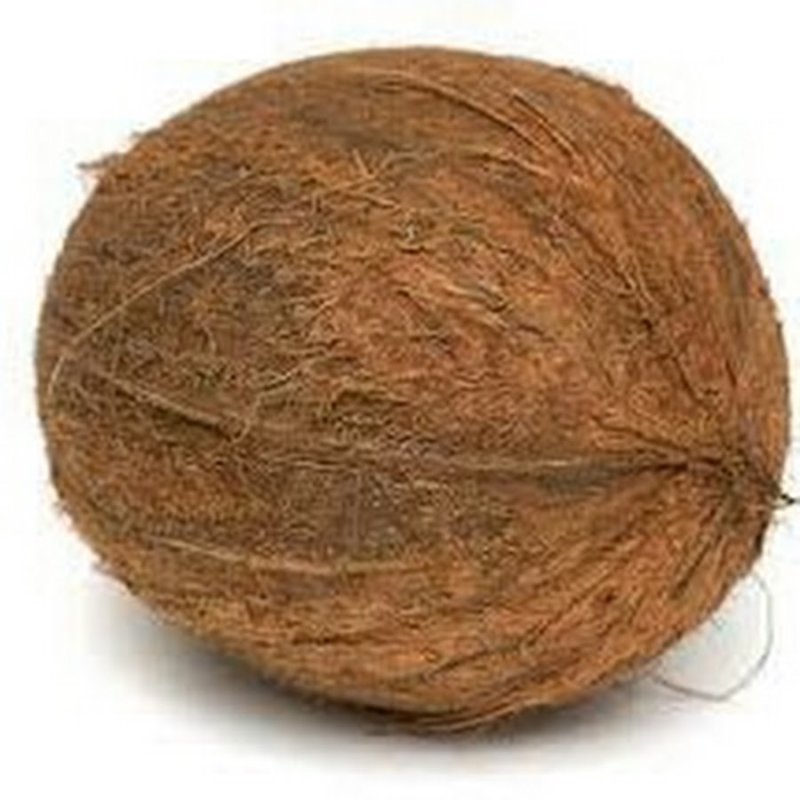 Текстура кокоса