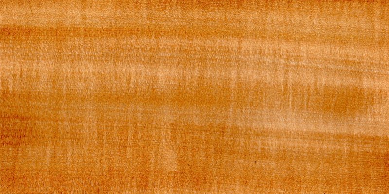 Липа фактура древесины