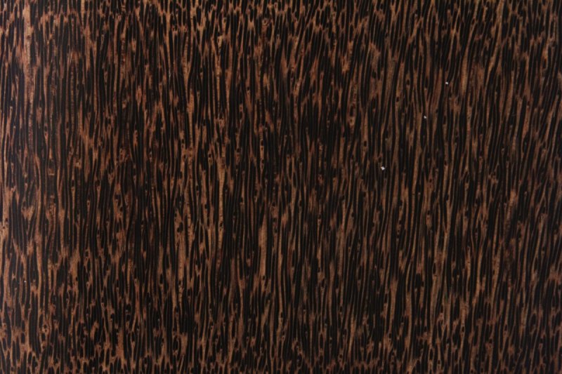 Фактура дерева