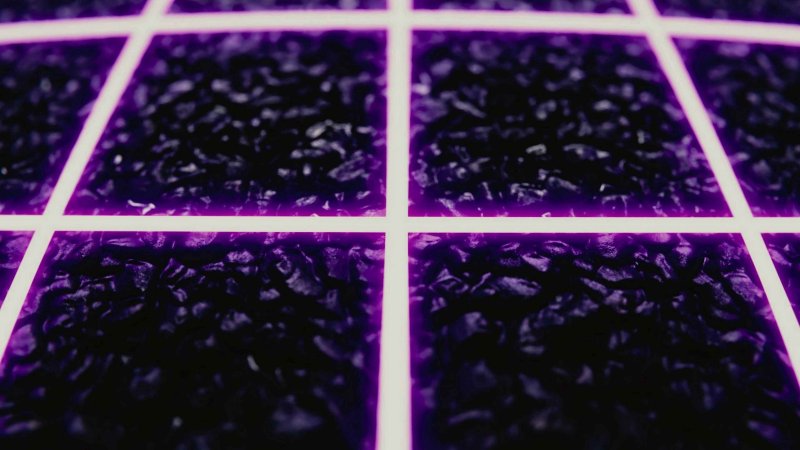 Фиолетовая сетка