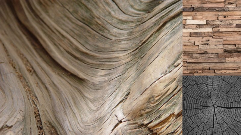 Фактура дерева