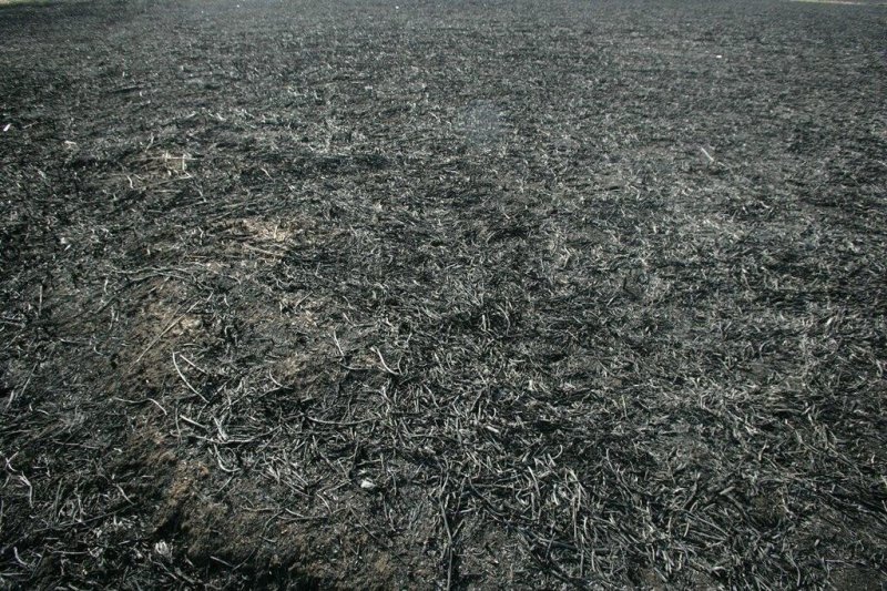 Выжженная земля