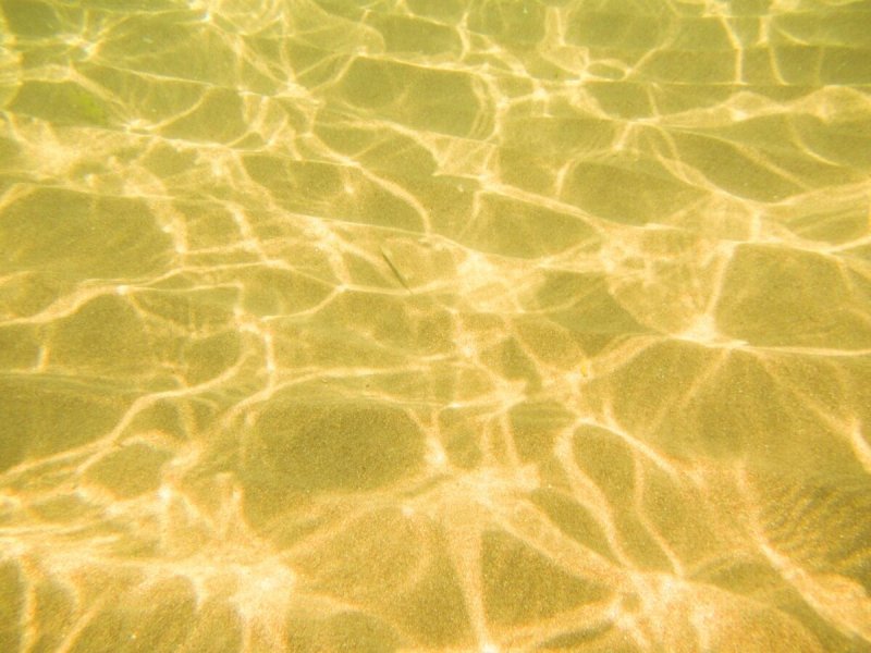 Песчаное дно