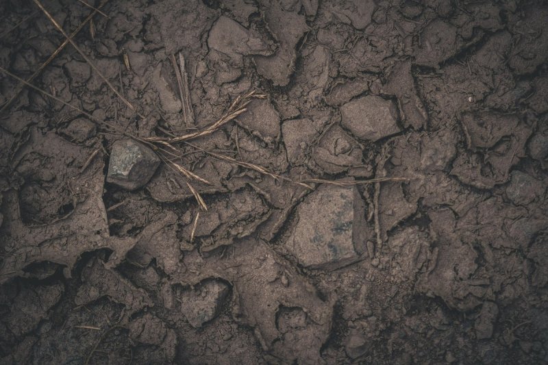 Грунт текстура