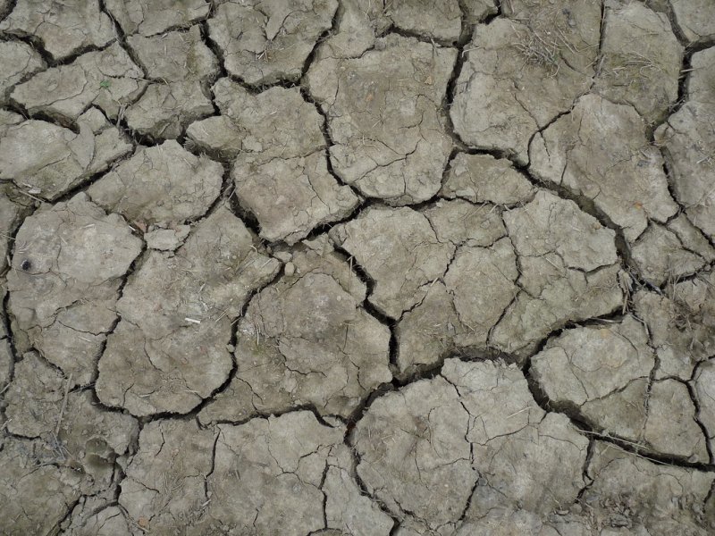 Текстура земли