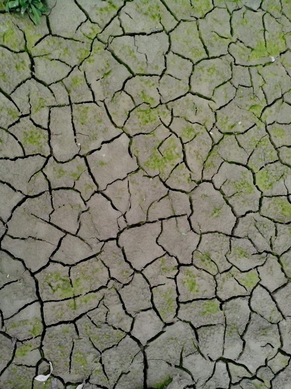 Текстура земли