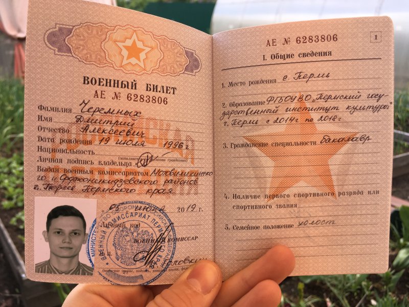 Военный билет России