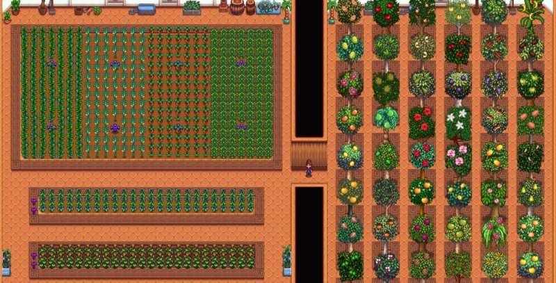 Теплица Stardew