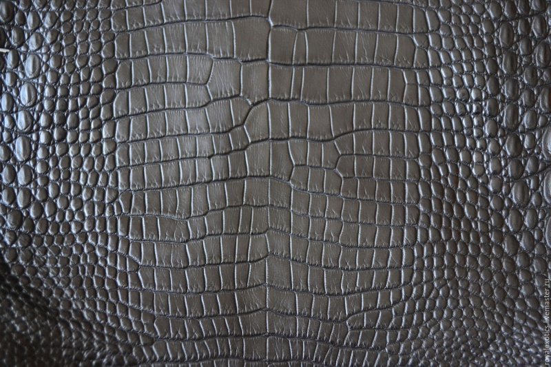 Крокодиловая кожа