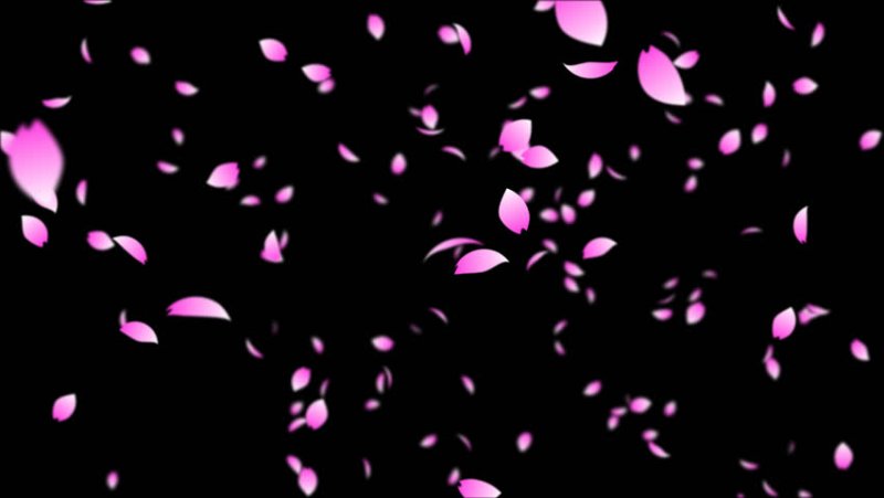 Лепесток Сакуры