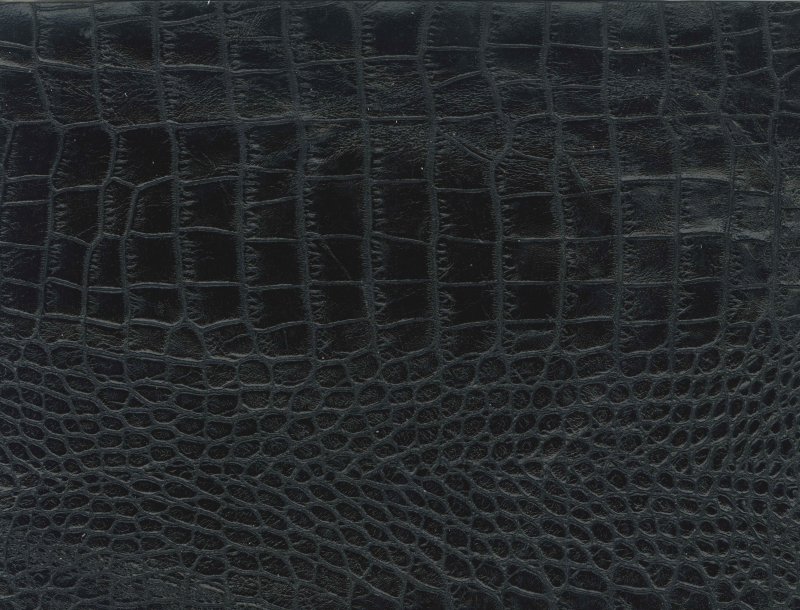 Крокодиловая кожа