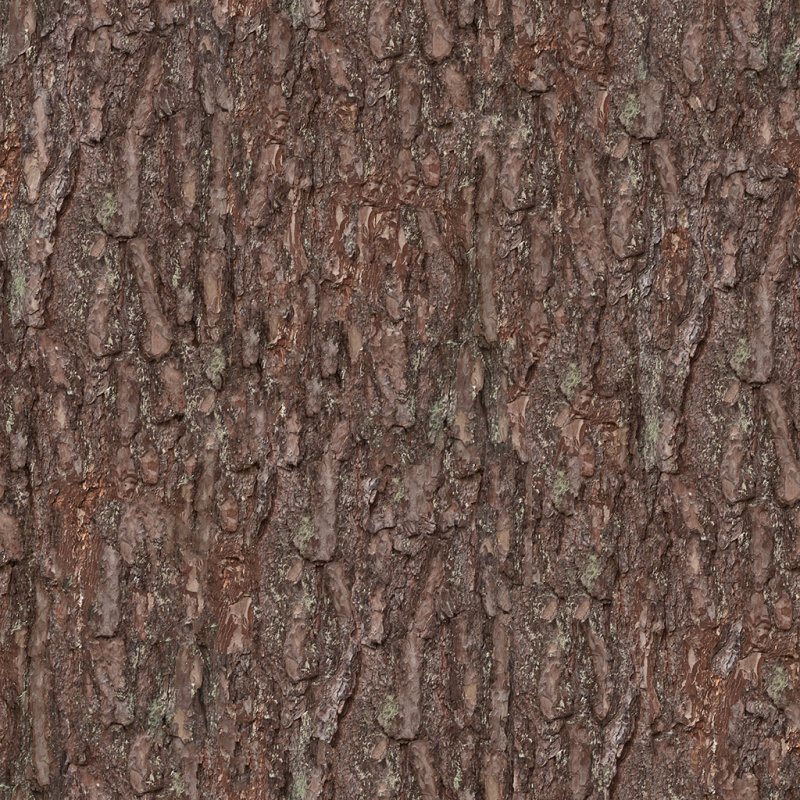 Текстура коры дерева бесшовная