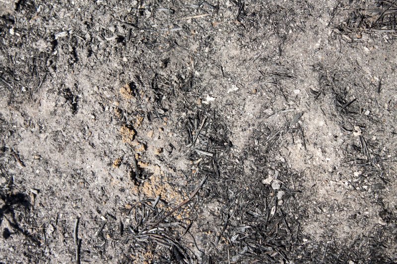 Пепел текстура