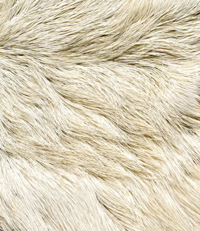 Текстура шерсти