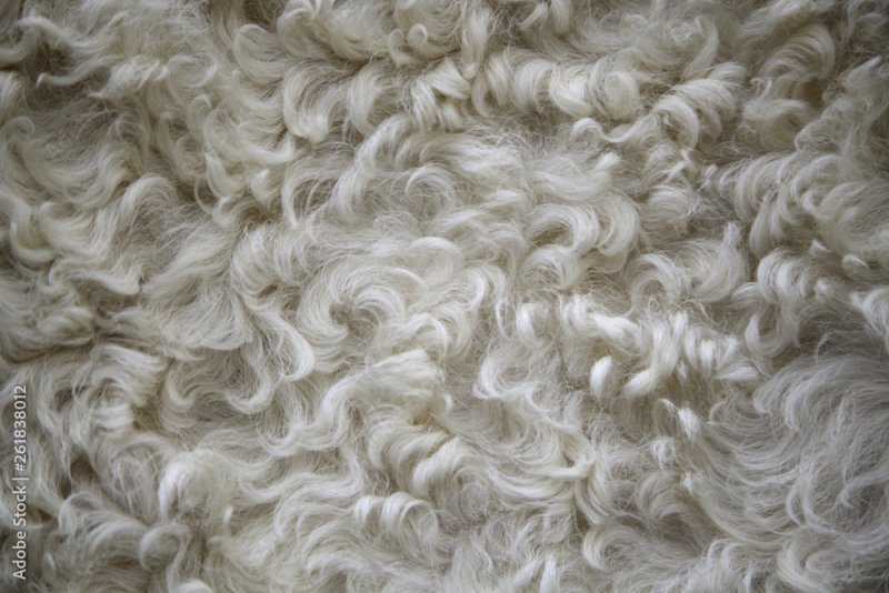 Овечья шерсть