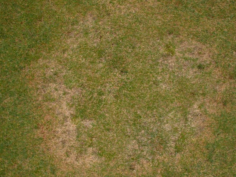 Земля текстура бесшовная для 3d Max