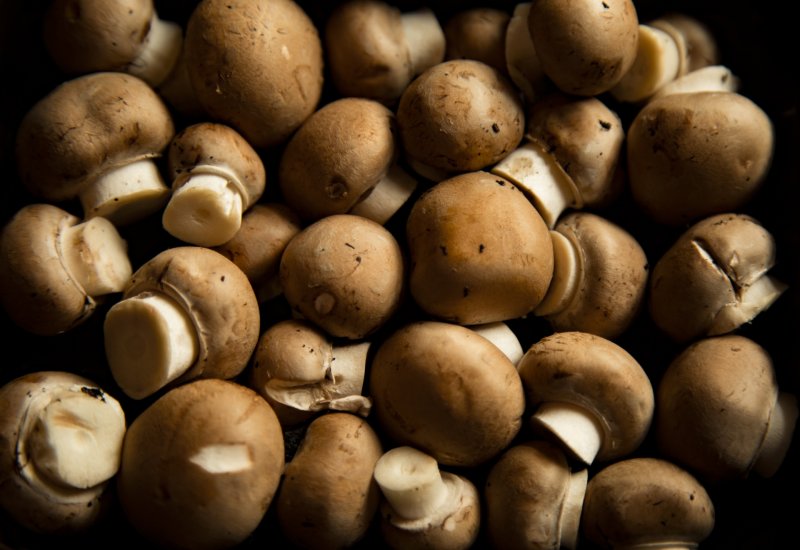 Грибы шампиньоны