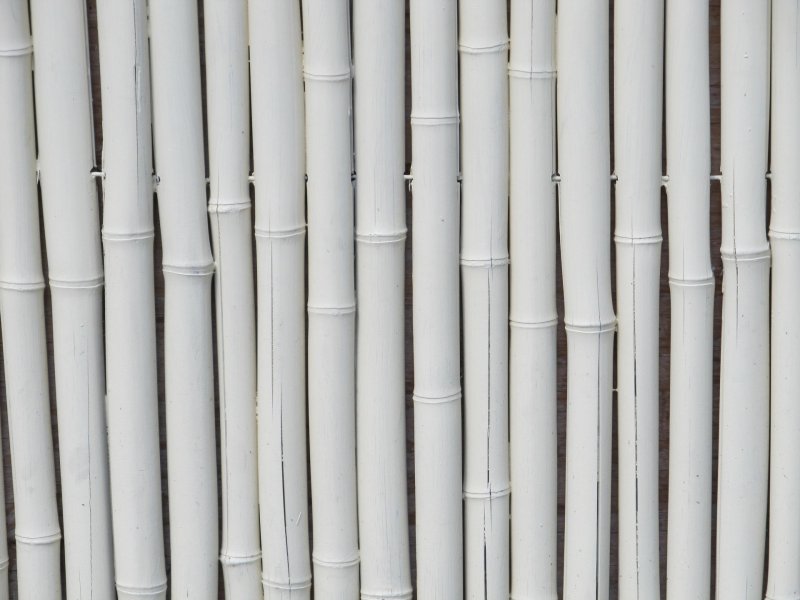 Бамбук на белом