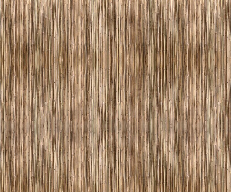 Бамбук текстура