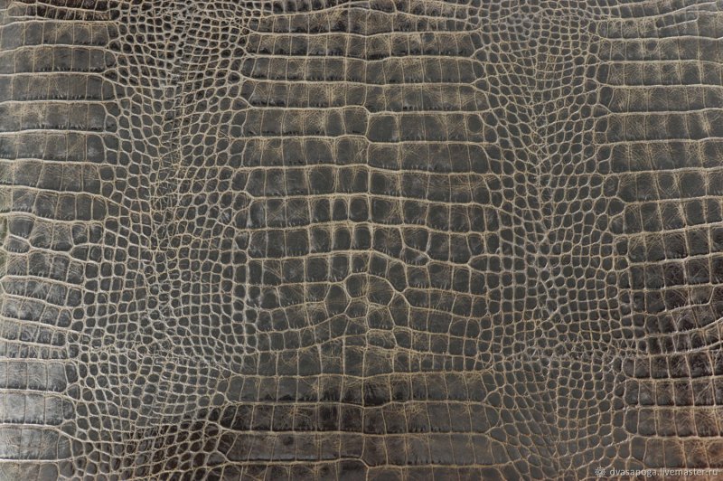 Кожа аллигатора