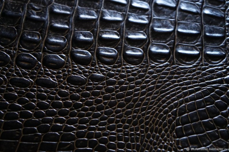 Cesare Emiliano кожа крокодила черная