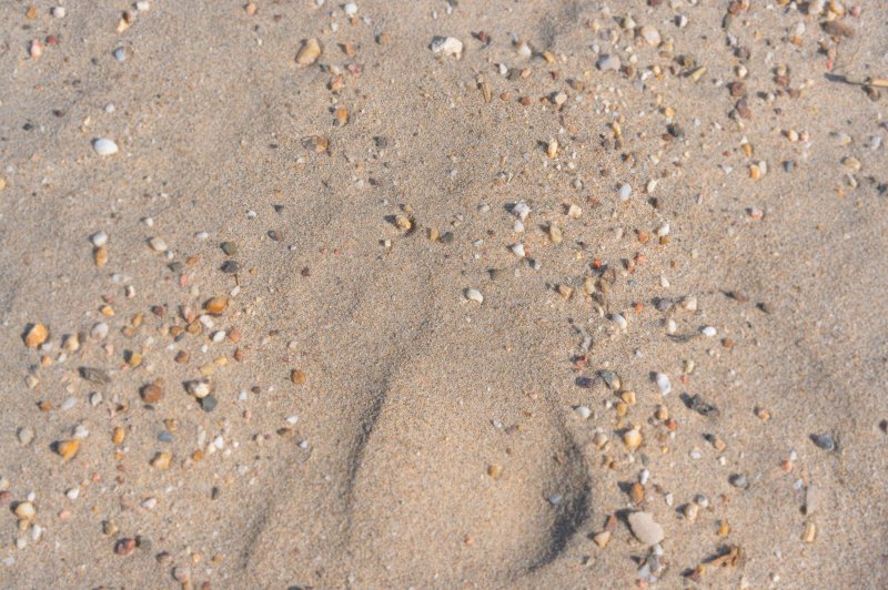 Песок текстура