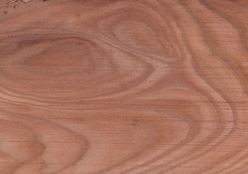 Вяз карагач древесина