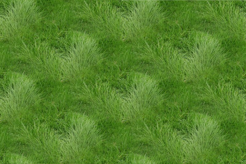 Фактура травы