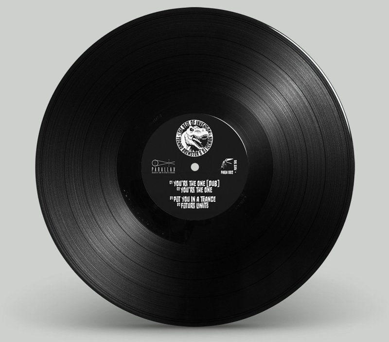 Пластинка винил