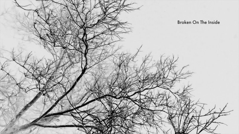 Ветви деревьев