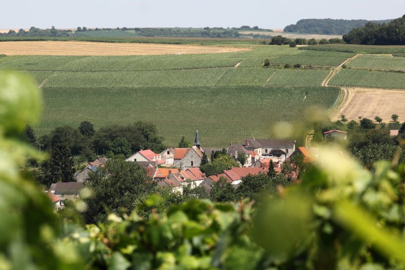 Ферма во Франции