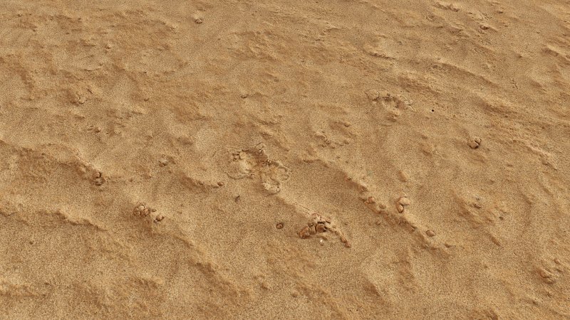 Мокрый песок текстура