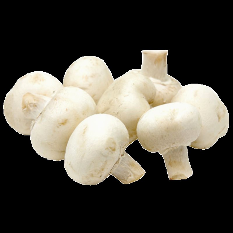 Шампиньоны на белом фоне