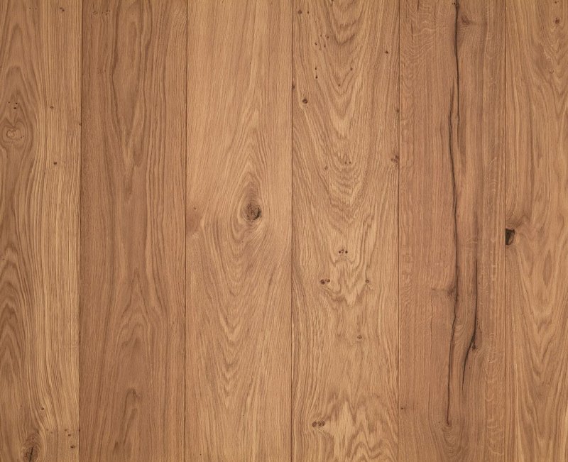 Дуб текстура