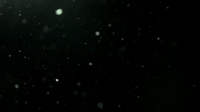 Пыль на черном фоне