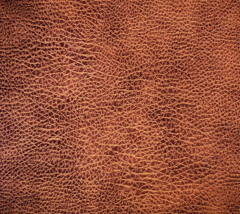 Текстура кожи