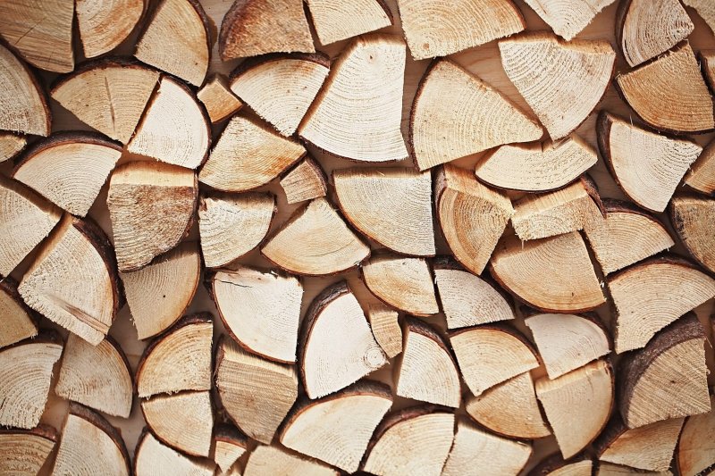 Спил дерева