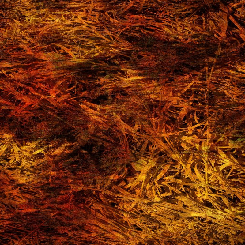 Фактура травы