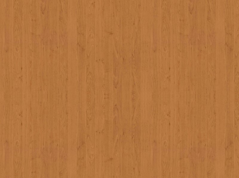 Шпон бука текстура