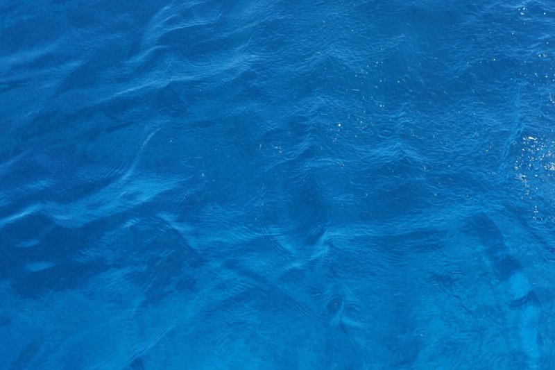 Морской цвет