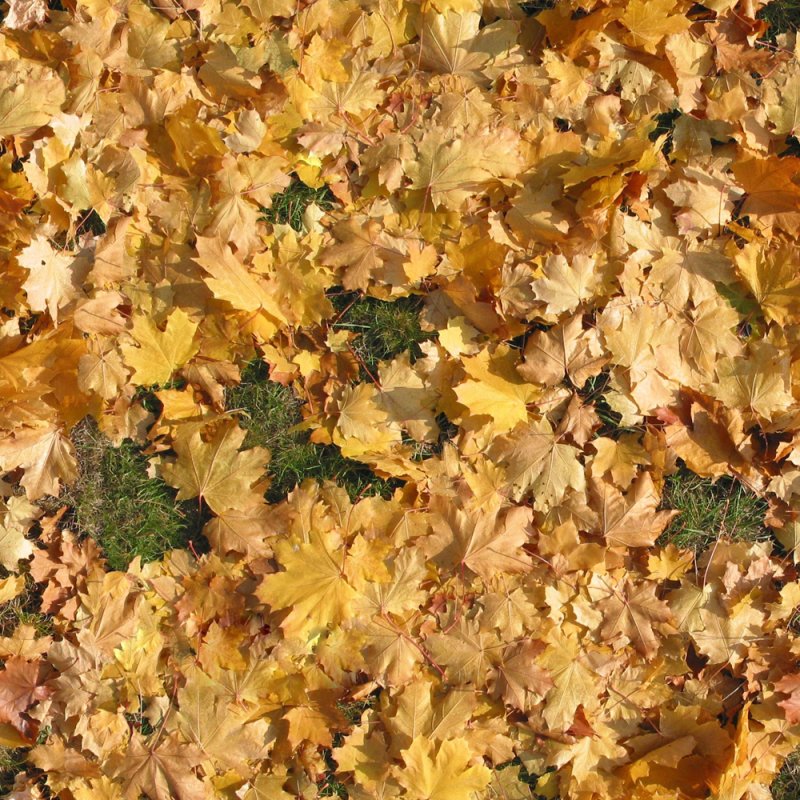 Трава осень текстура