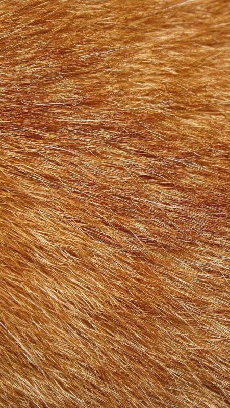 Мех текстура