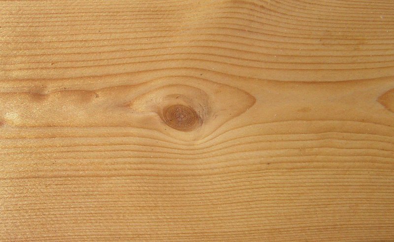 Лиственница продольный срез