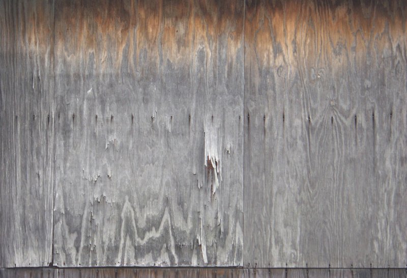 Гнилое дерево текстура