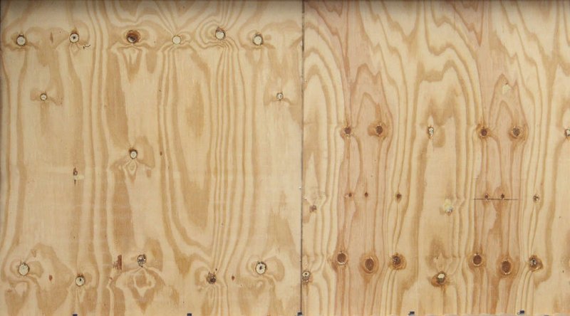 Сосна текстура