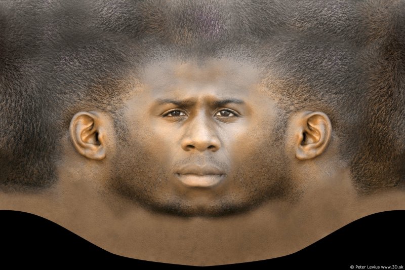 Голова негра